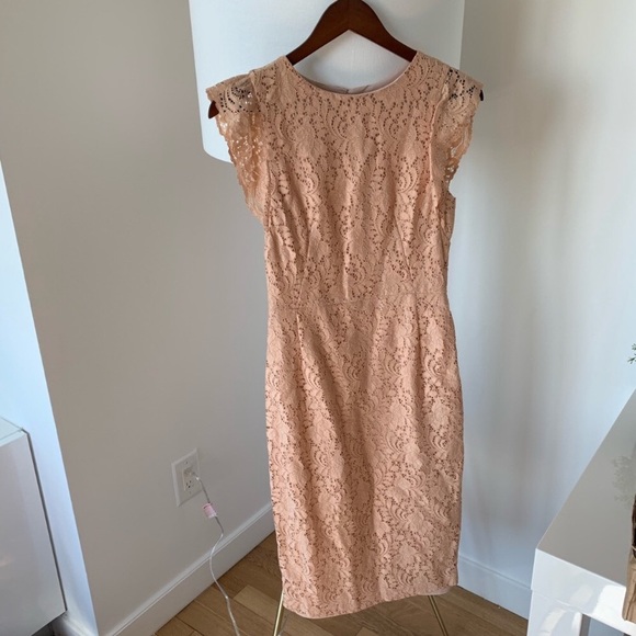 Zara Dresses & Skirts - Zara blush Lace Dress